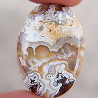 cabochon agate mexicaine crazy lace O