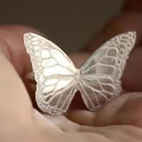 Nymphalidae, bague papillon monarque en argent