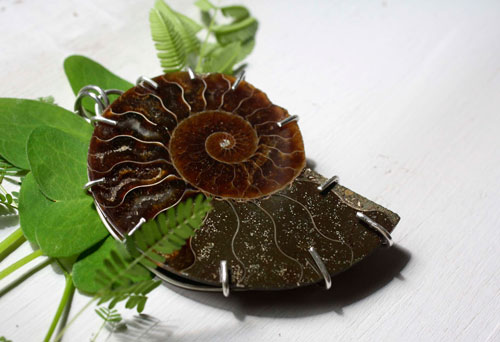 Cephalopoda, pendentif témoin de l’histoire en argent et ammonite fossilisée