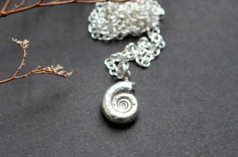 Ammonite eoderoceras, collier fossile jurassique en argent