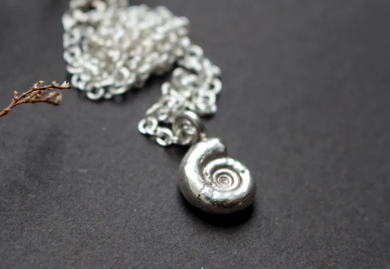 Ammonite eoderoceras, collier fossile jurassique en argent