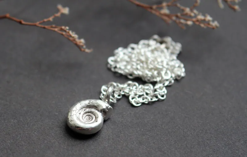 Ammonite eoderoceras, collier fossile jurassique en argent