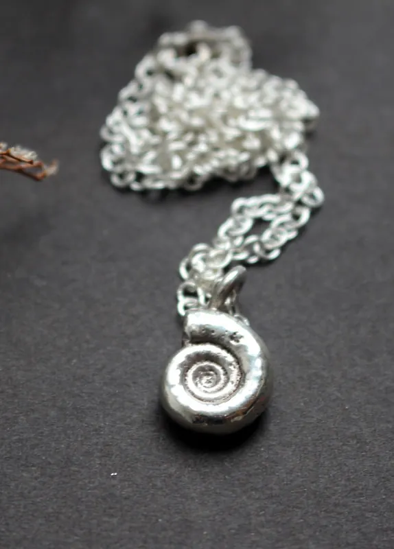 Ammonite eoderoceras, collier fossile jurassique en argent