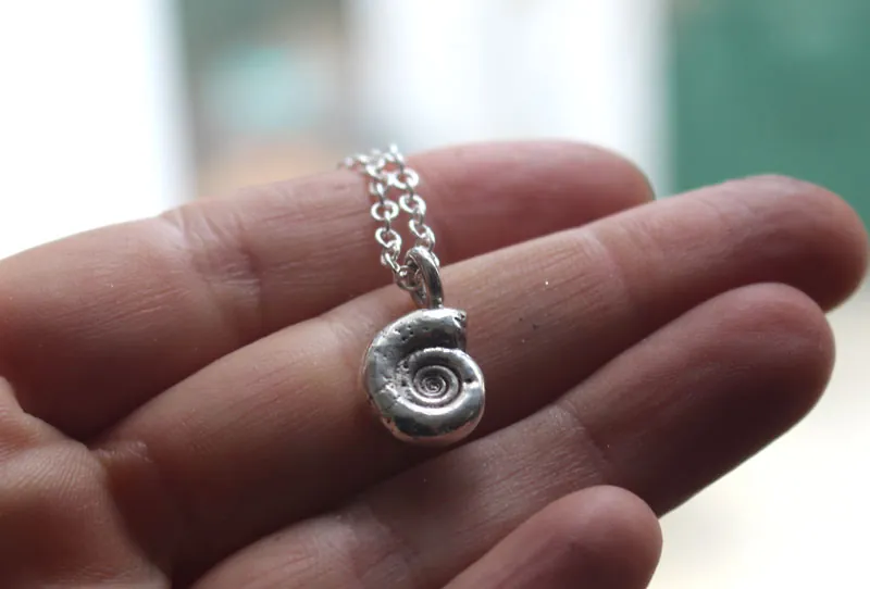 Ammonite eoderoceras, collier fossile jurassique en argent