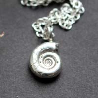 Ammonite eoderoceras, collier fossile jurassique en argent