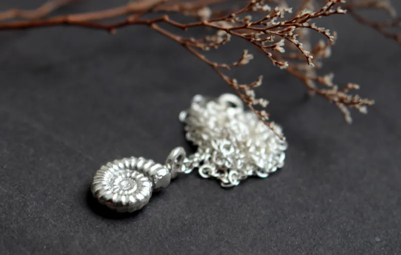Ammonite promicroceras, collier fossile paléontologie en argent