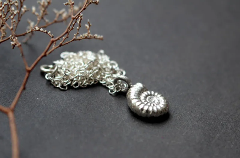 Ammonite promicroceras, collier fossile paléontologie en argent