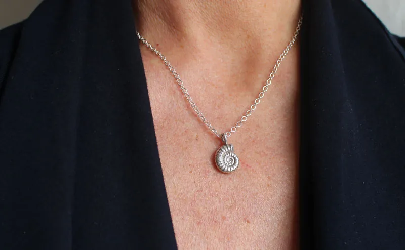 Ammonite promicroceras, collier fossile paléontologie en argent