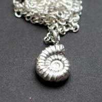 Ammonite promicroceras, collier fossile paléontologie en argent