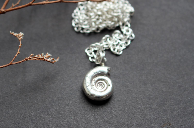Ammonite eoderoceras, collier fossile jurassique en argent