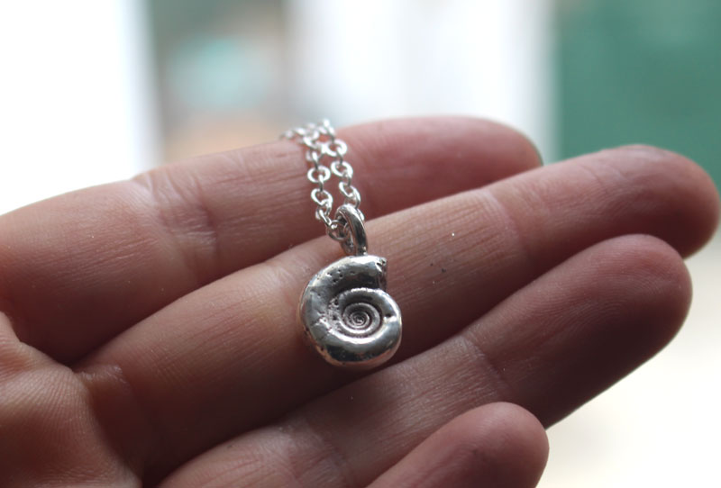 Ammonite eoderoceras, collier fossile jurassique en argent