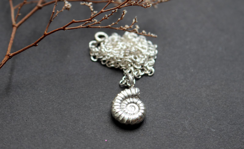 Ammonite promicroceras, collier fossile paléontologie en argent