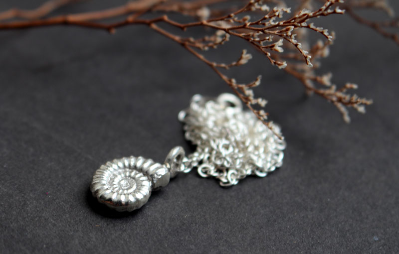 Ammonite promicroceras, collier fossile paléontologie en argent