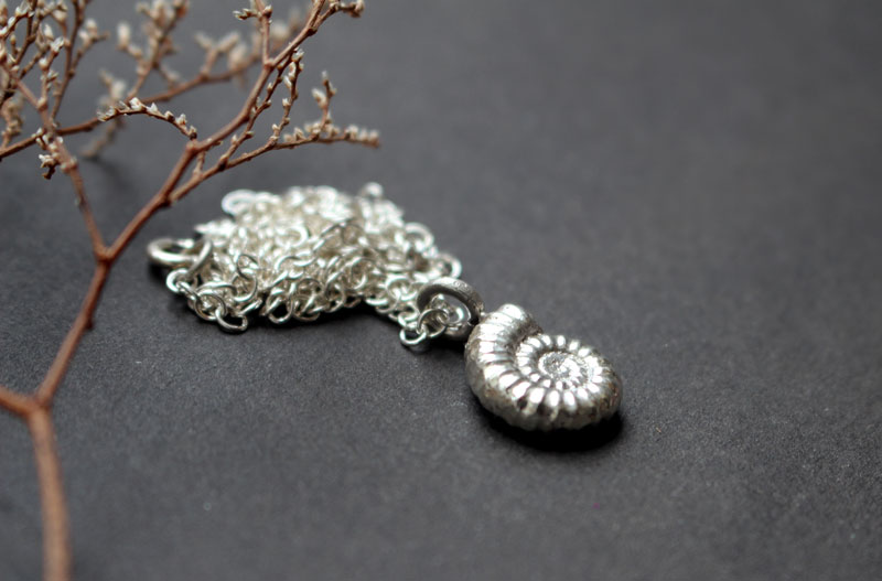 Ammonite promicroceras, collier fossile paléontologie en argent