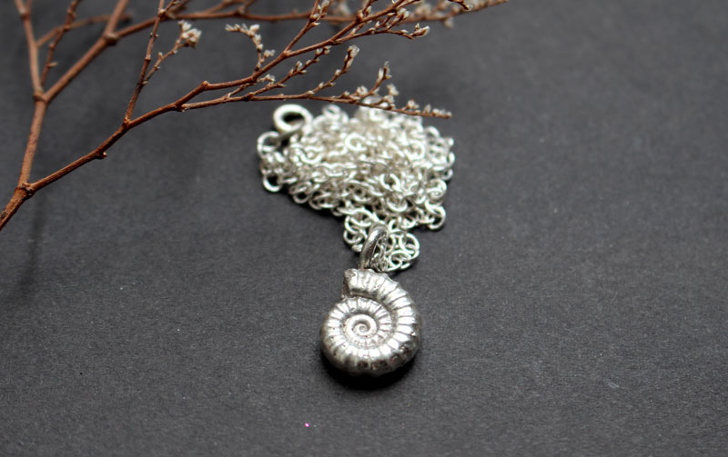 Ammonite promicroceras, collier fossile paléontologie en argent