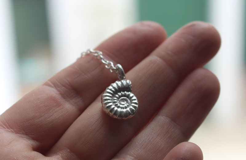 Ammonite promicroceras, collier fossile paléontologie en argent