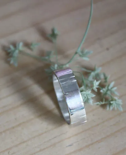 Bouleau, bague arbre de la sagesse en argent