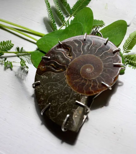 Cephalopoda, pendentif témoin de l’histoire en argent et ammonite