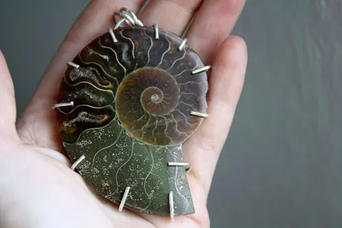 Cephalopoda, pendentif témoin de l’histoire en argent et ammonite