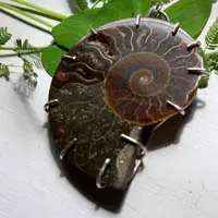 Cephalopoda, pendentif témoin de l’histoire en argent et ammonite