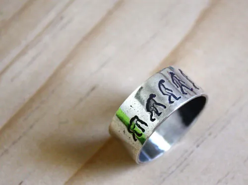 Darwin, bague théorie de l’évolution en argent