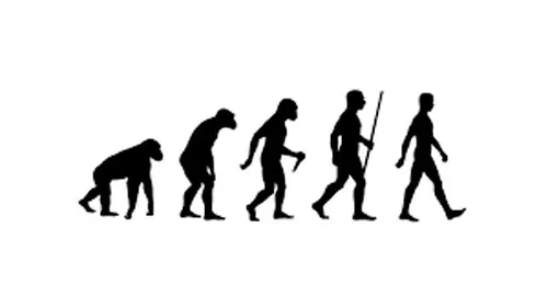 Darwin, bague théorie de l’évolution en argent