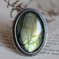 De l’autre côté, bague miroir et fougère en argent et labradorite