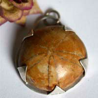 Echinoidea, pendentif histoire de la terre en argent et oursin fossile