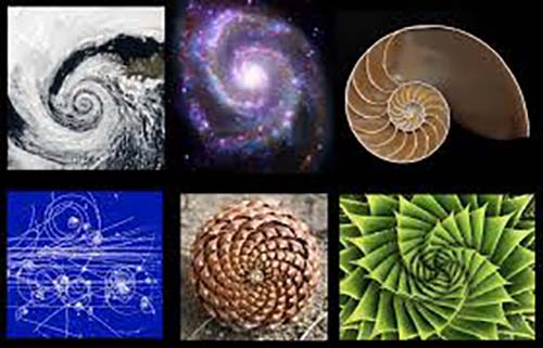 Spirales de Fibonacci
