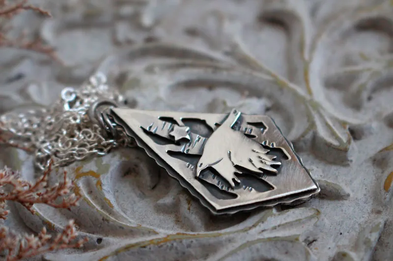 Instinct, collier corbeau et étoile en argent