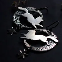 Le renard de la lune