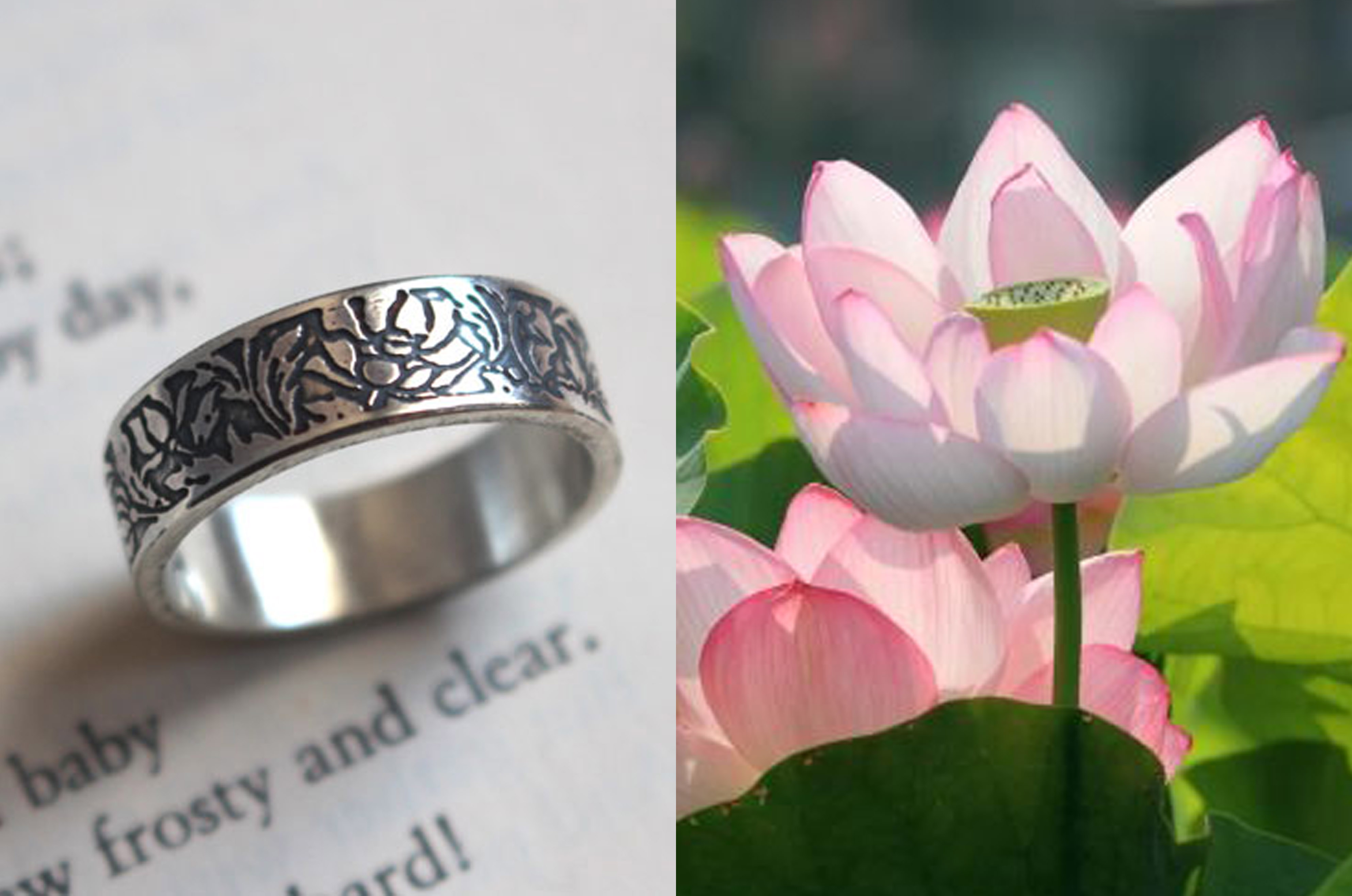 Lotus, bague fleur aquatique en argent