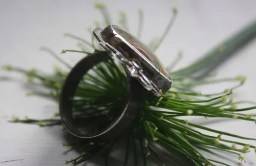 Nénufar, bague étang, nénuphar et lotus en argent et jaspe impérial royal