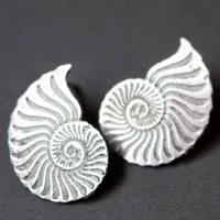 Ophite, boucles d’oreilles puces Ammonites en argent