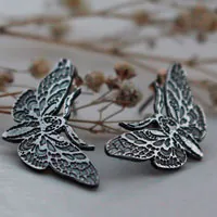 Papillons nocturnes