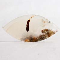 cabochon agate horse canyon