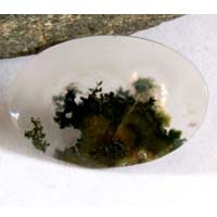 cabochon agate mousse A