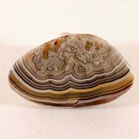 cabochon agate mexicaine crazy lace B