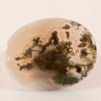 cabochon agate mousse B