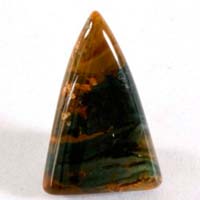 cabochon bogwood