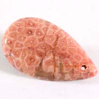 cabochon corail fossile rose A