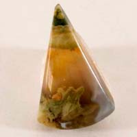 cabochon jaspe forêt tropicale C