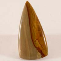 cabochon jaspe owyhee C