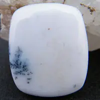 Agate dendritique C cabochon