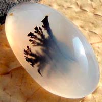 agate dendritique cabochon