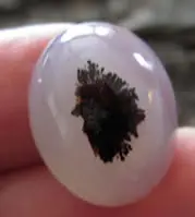 Cabochon agate dendritique F