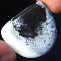 Cabochon agate dendritique G