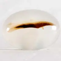 Cabochon agate dendritique H