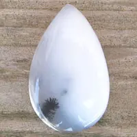 Cabochon agate dendritique J