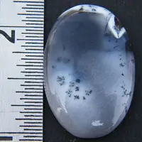 Cabochon agate dendritique M